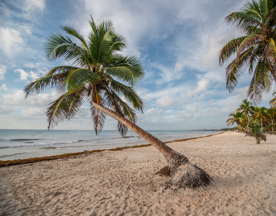 Tulum, Mexico on a budget -  Guest Writer &amp; Travel Photographer Tamea Agle. 