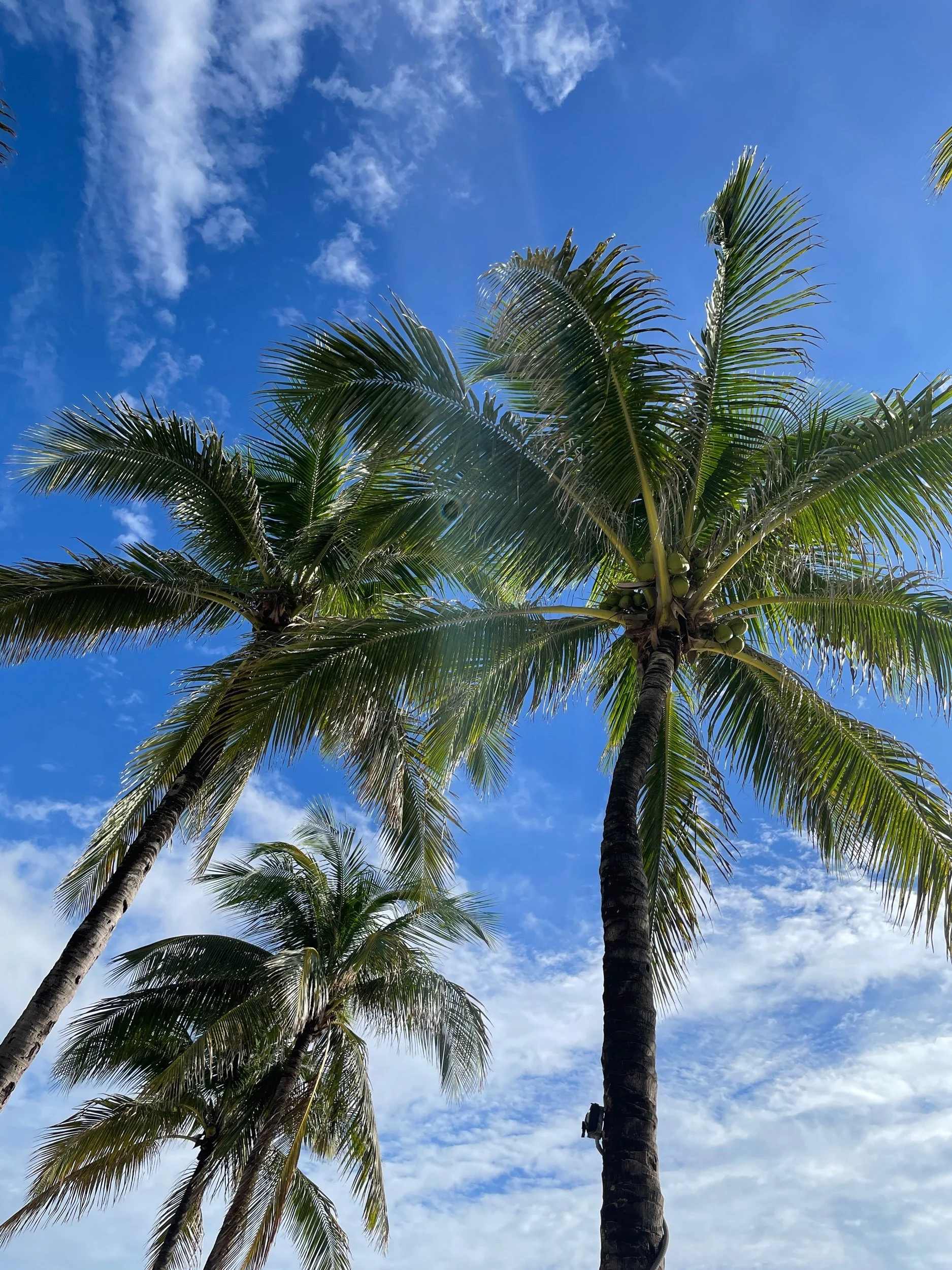 Want to plan a trip? Start here.