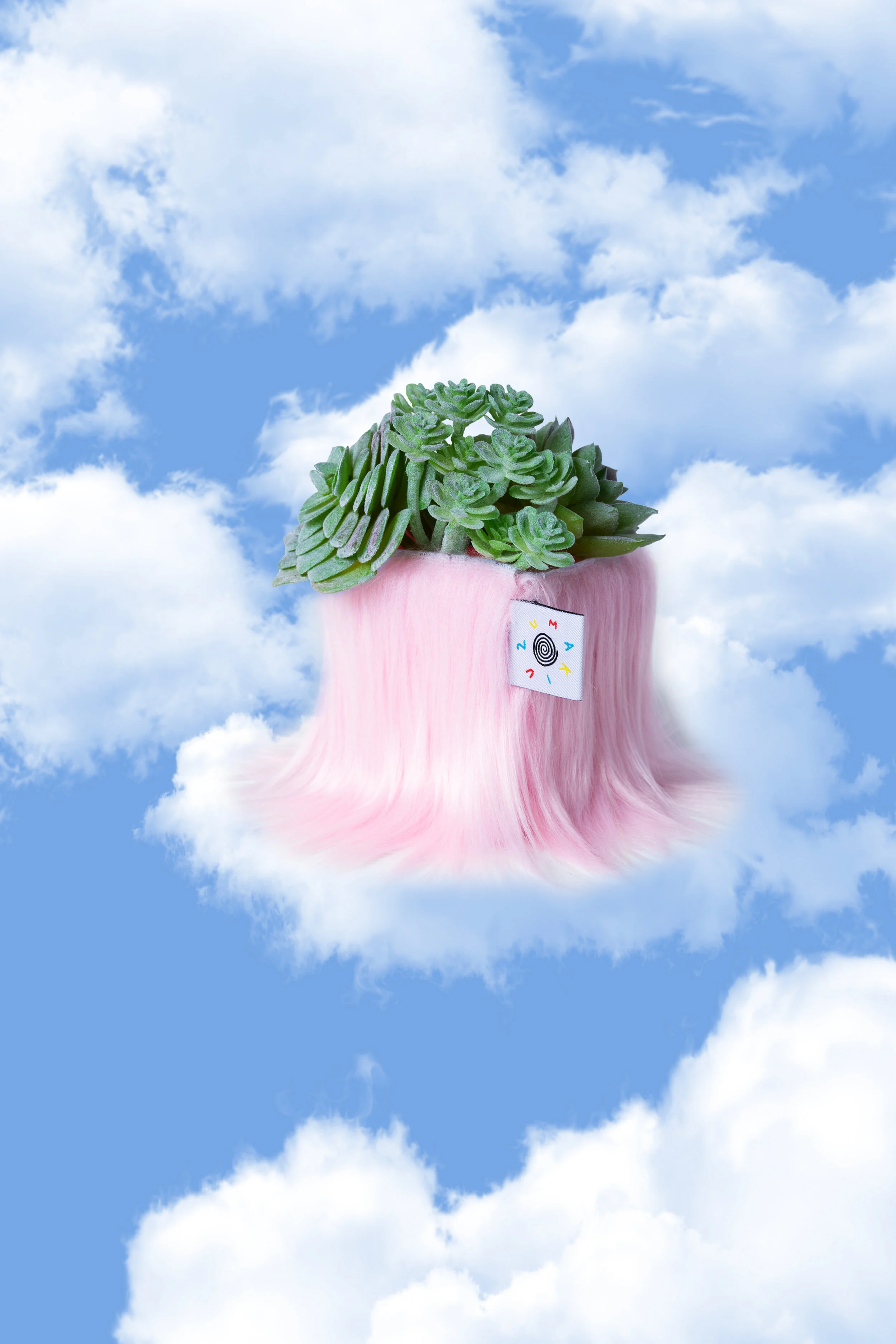 plantcloudbg.jpg