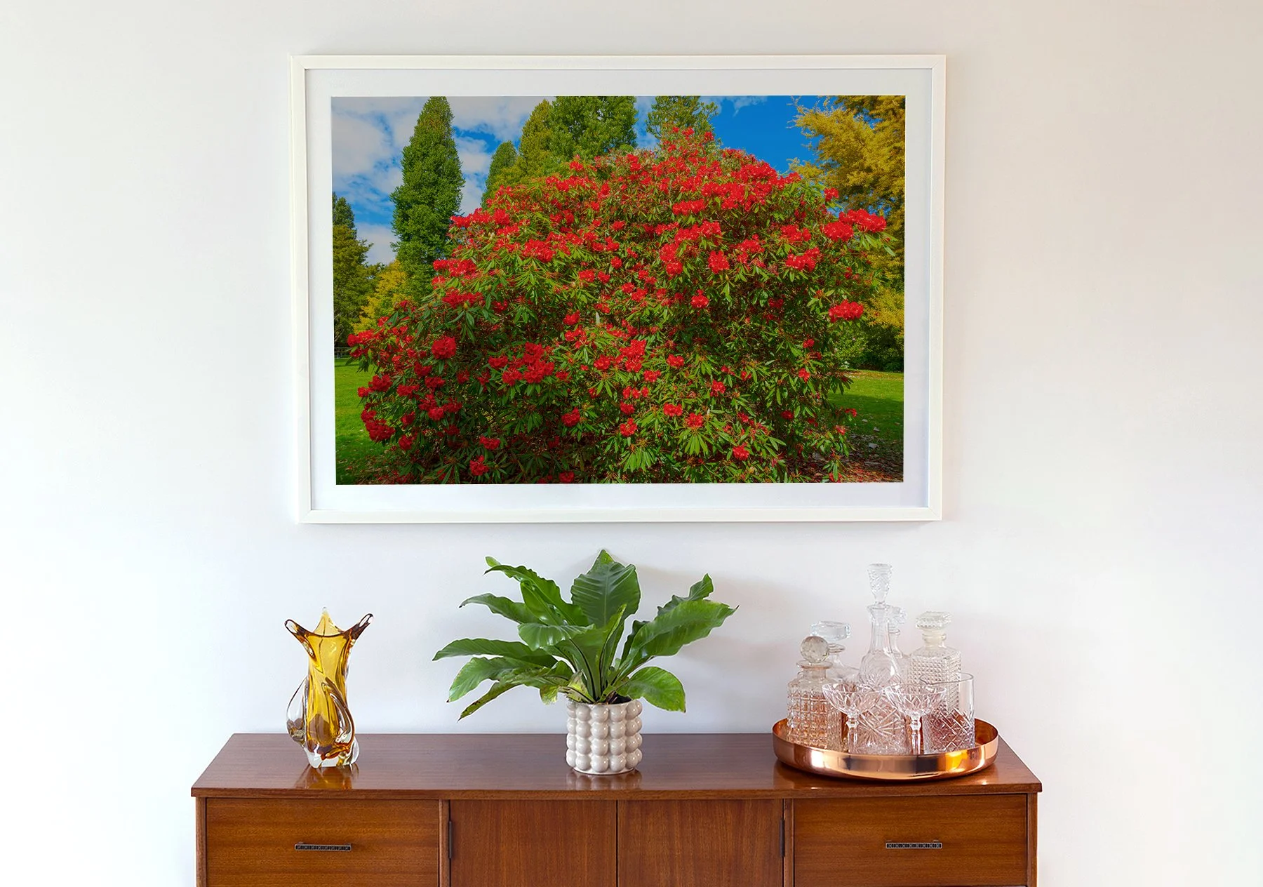 Rhododendron - 3564 ABset-.jpg