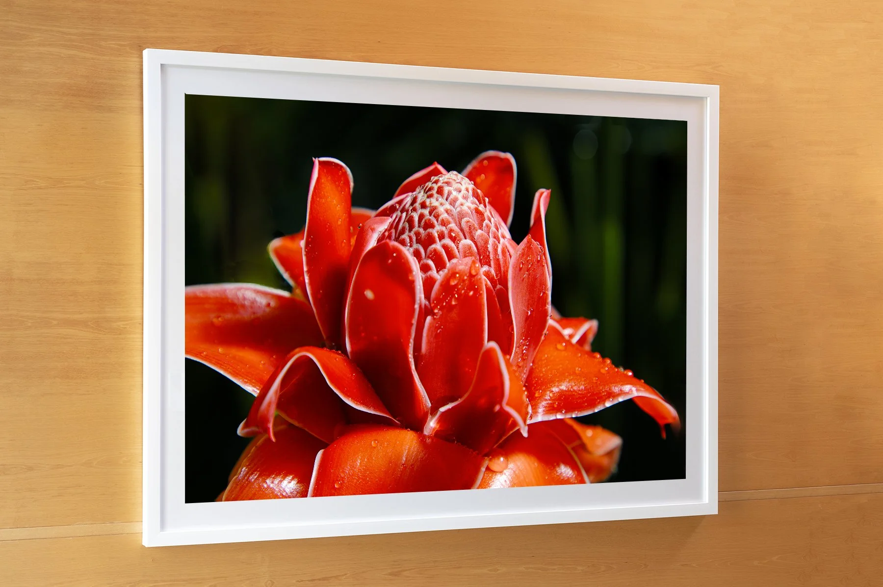 Flower Wall panel ASet .jpg