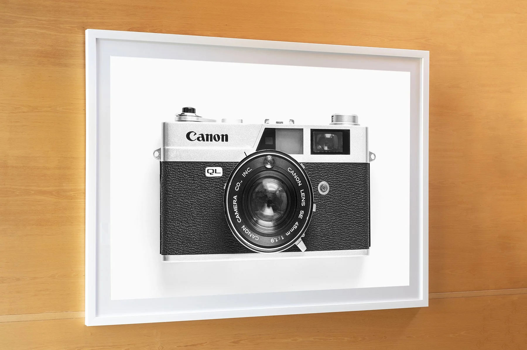 Canonet Wall panel ASet .jpg