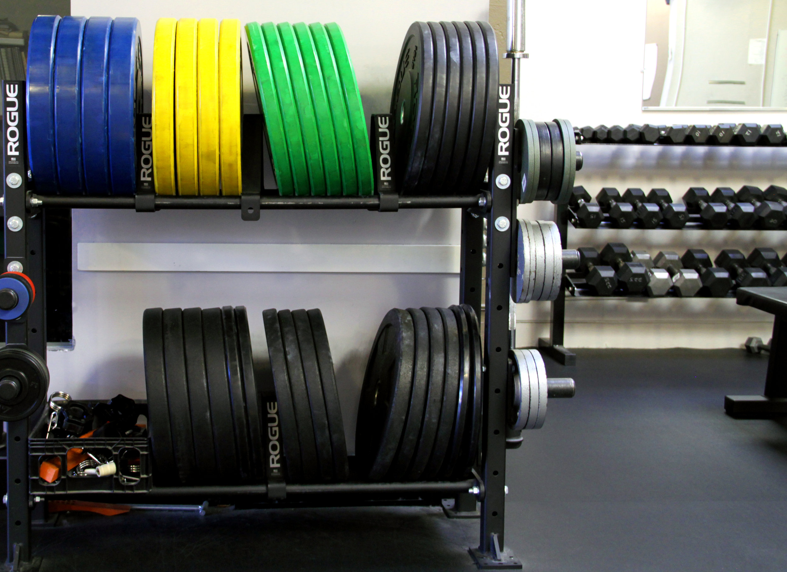 Weights_Color.jpg