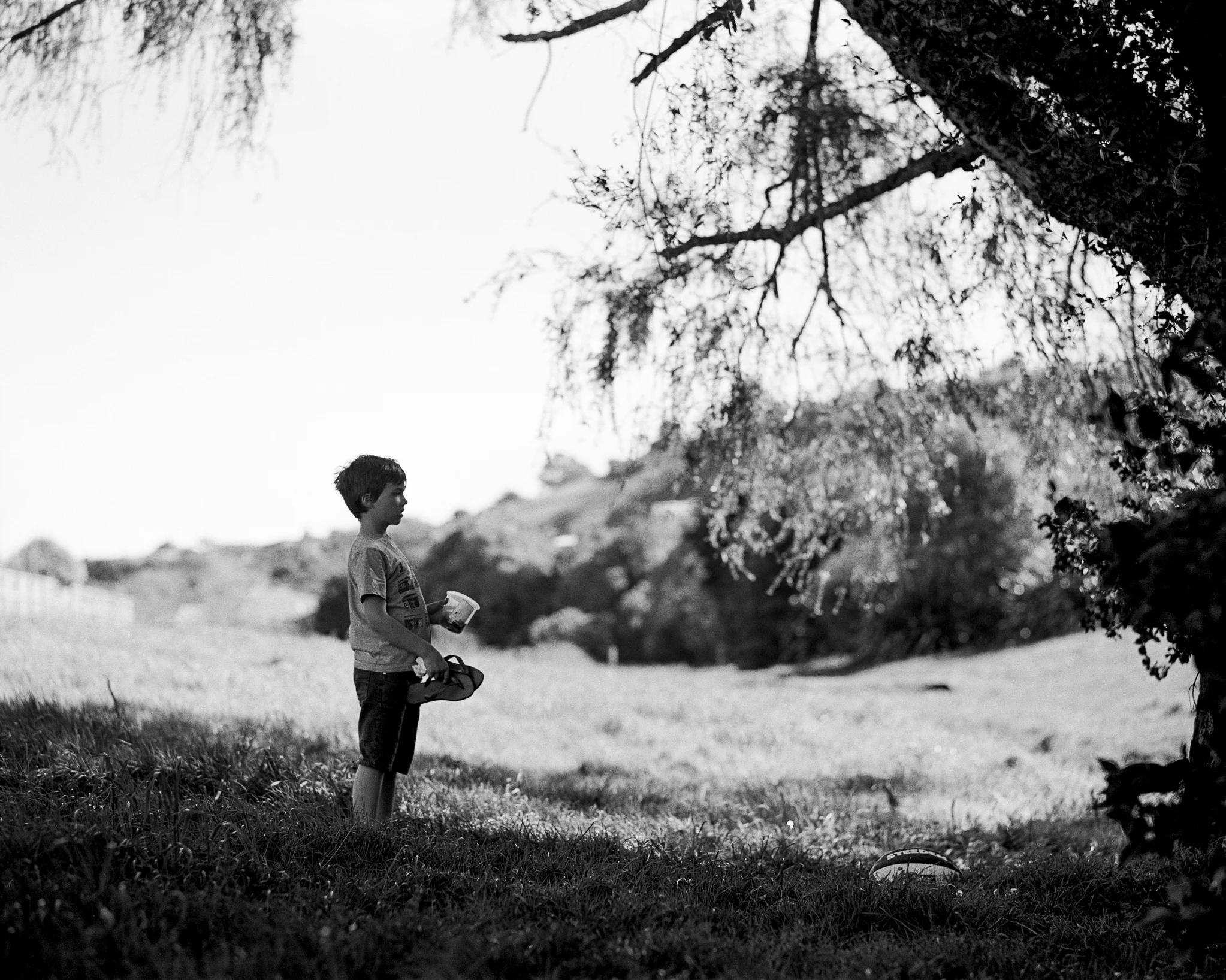 2017 (3) March 27  Pentax67_150mm_TriX400_Series 1.jpg