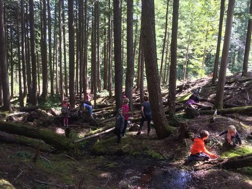 BC Timber Sales Input