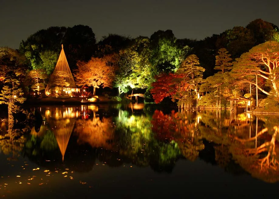 © Marufish / flickr