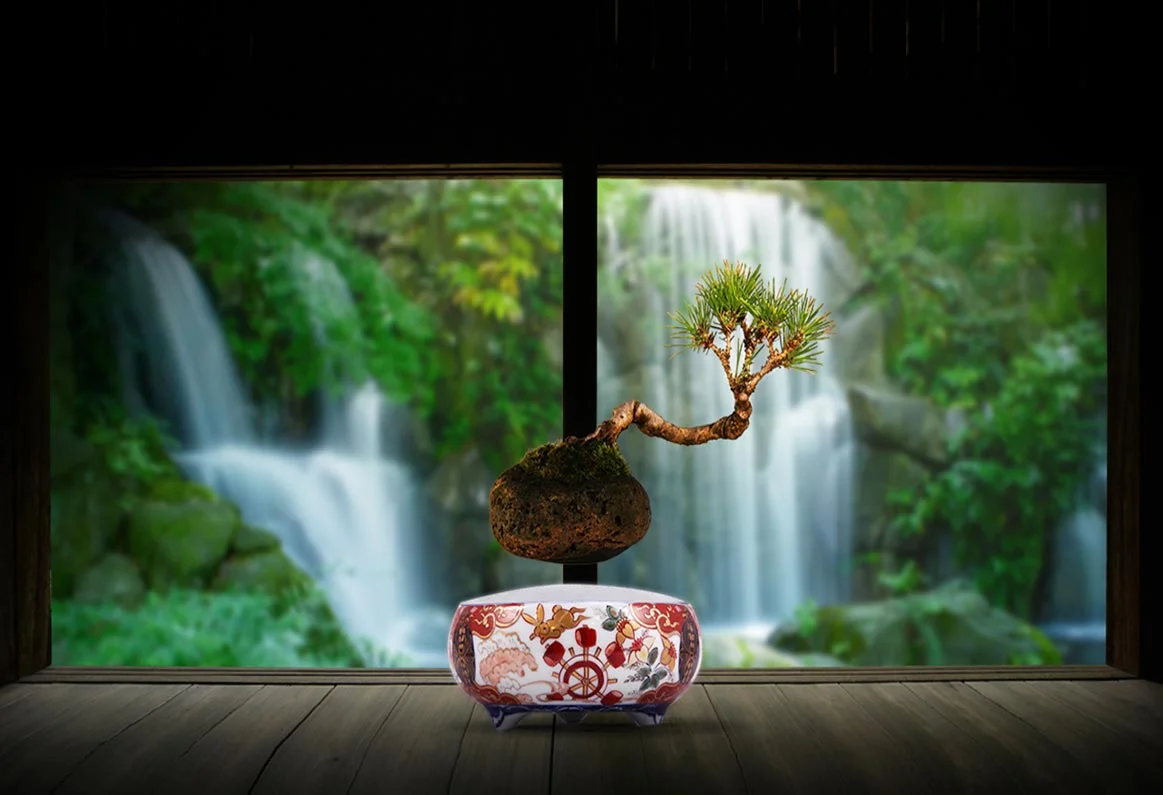 © Hoshinchu floating bonsai