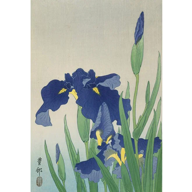 Irises, Woodblock Print by Ohara Koson, 1930s