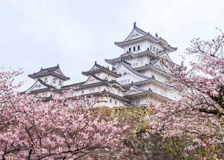 Wann Sie die Burg Himeji besuchen sollten