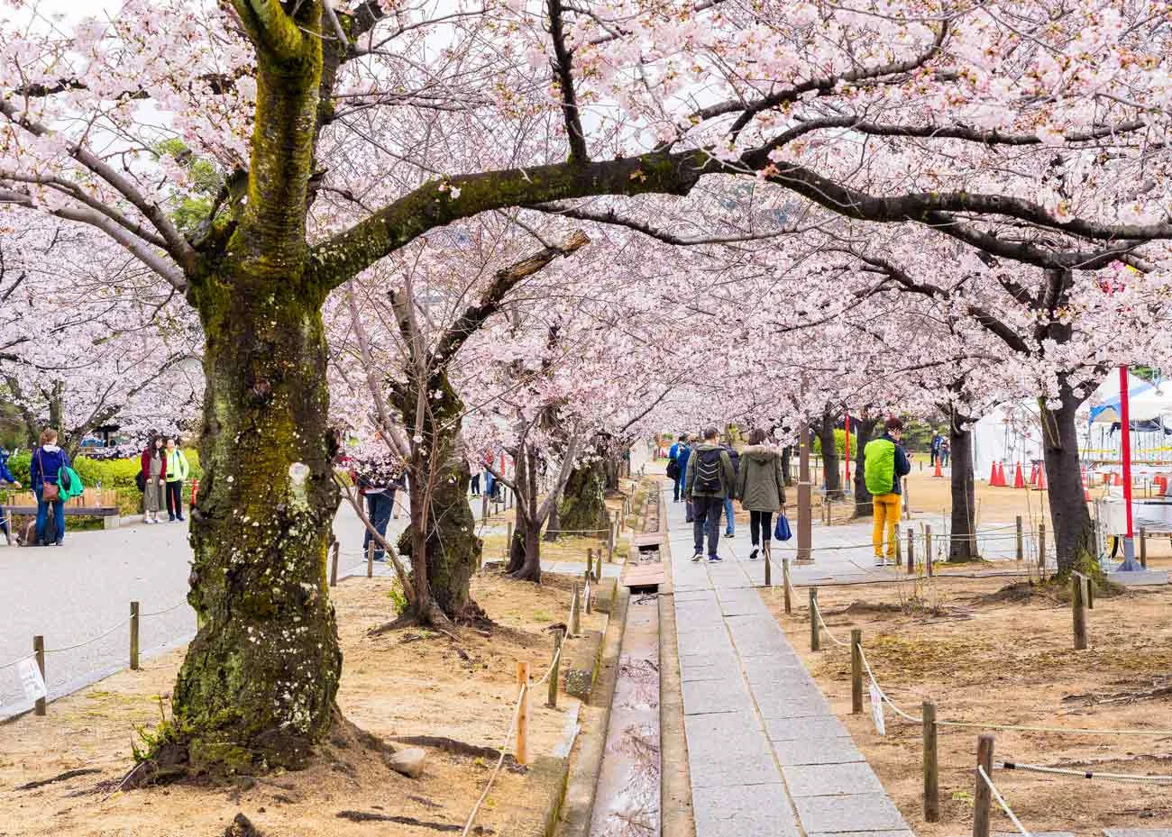 © Wei-Te Wong / Creative Commons , Road to Himeji Castle