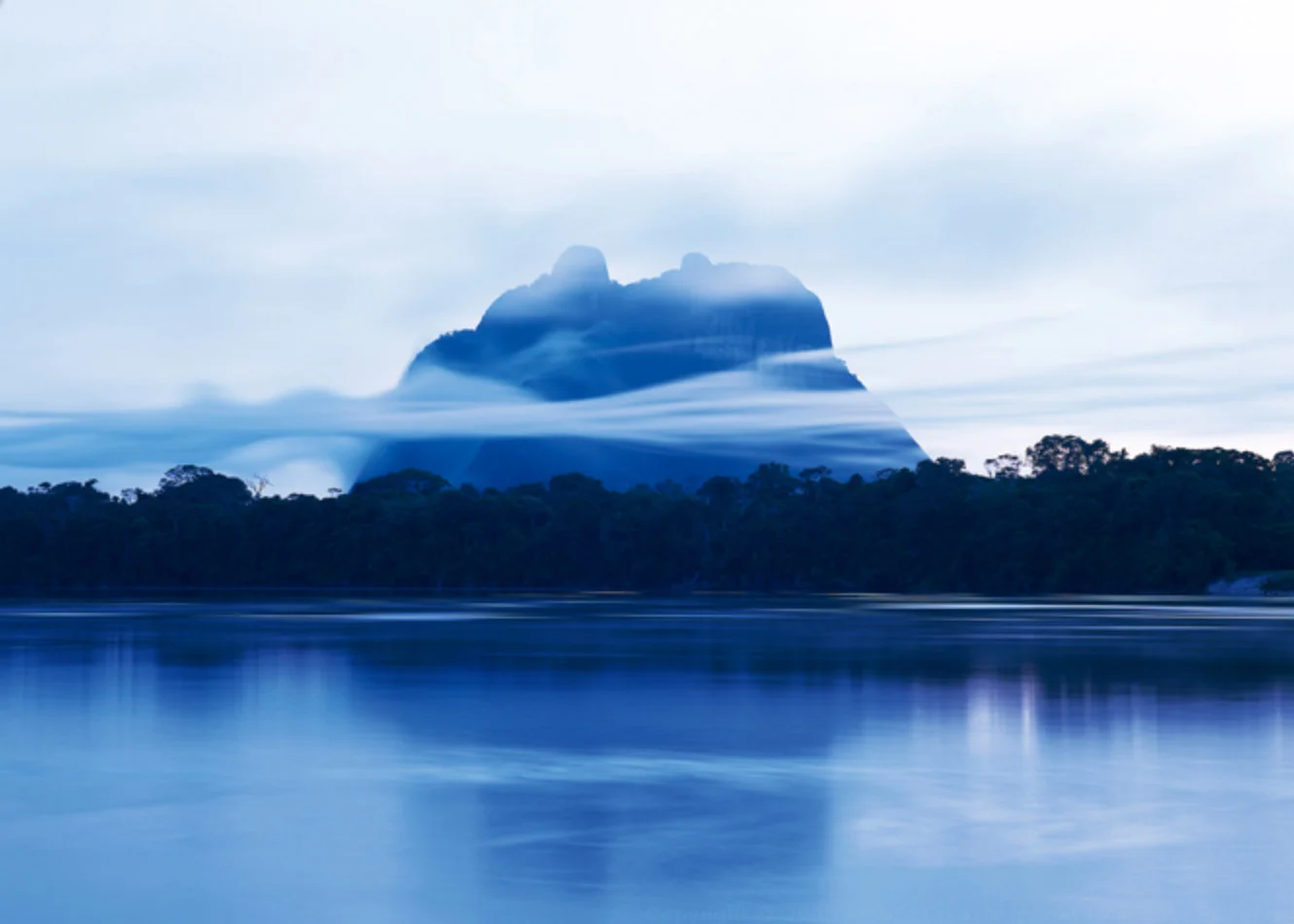 © Takashi Amano , Amazon Landscape