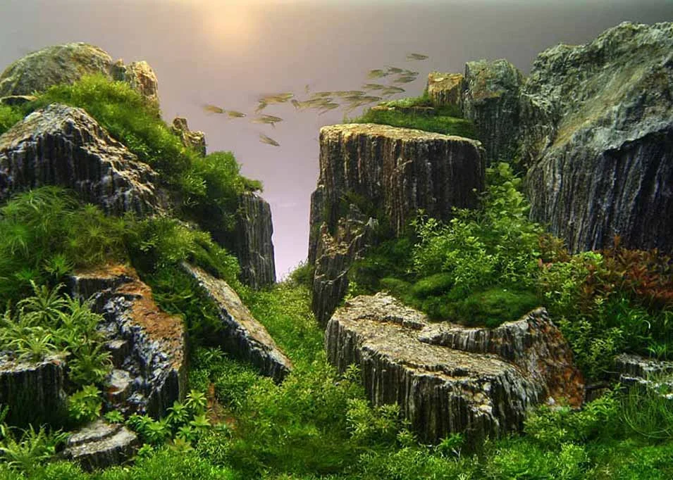 © Takashi Amano , Aquarium Landscape