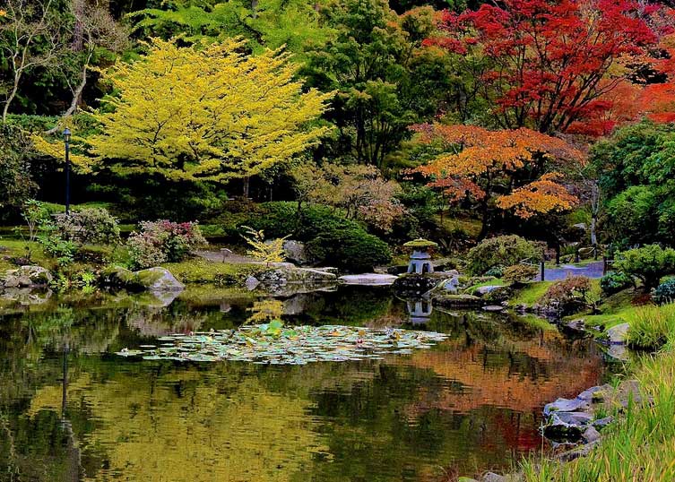 12 Stunning Japanese Gardens In America You Can T Miss