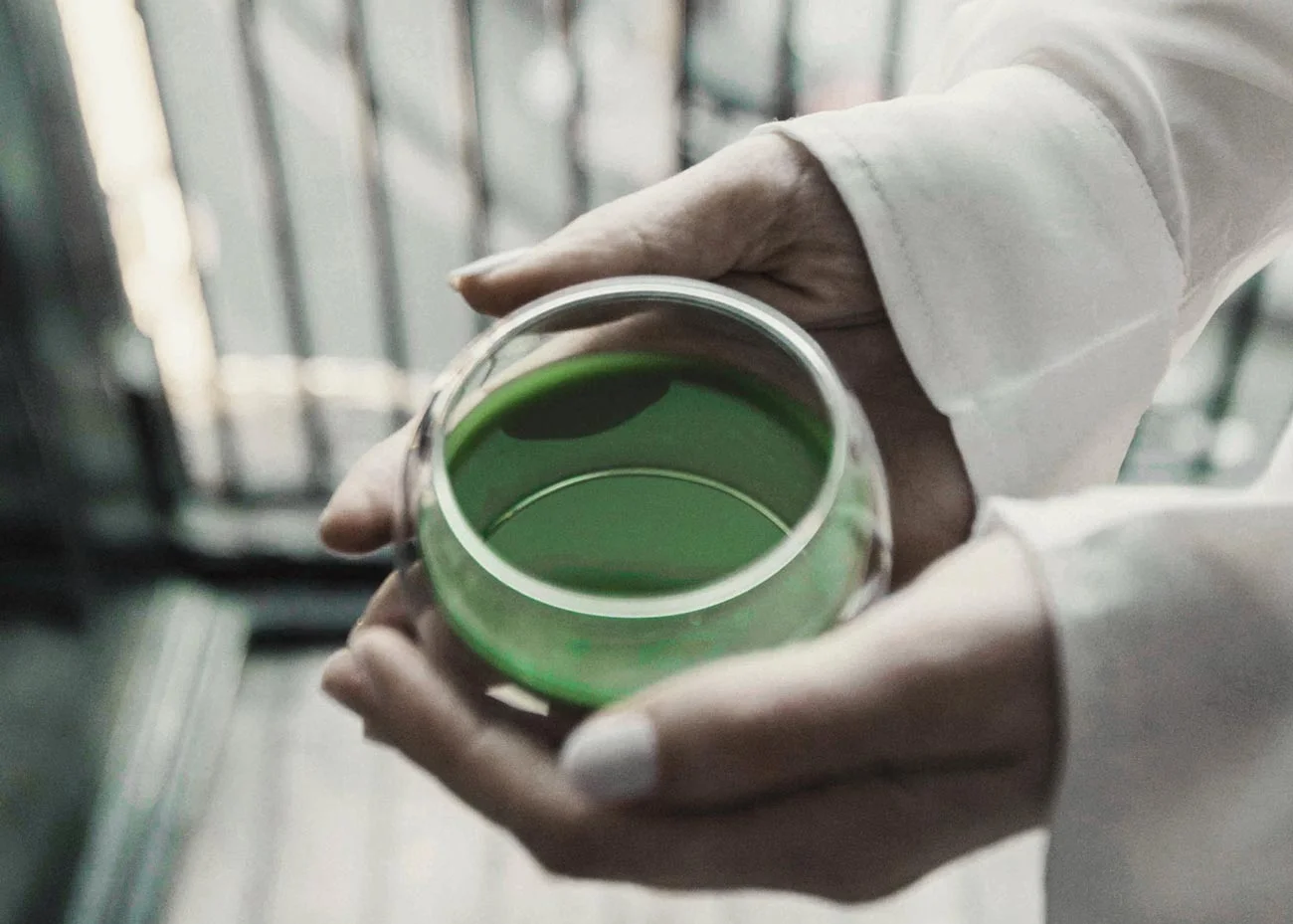 © Matchæologist, Tea Ceremony