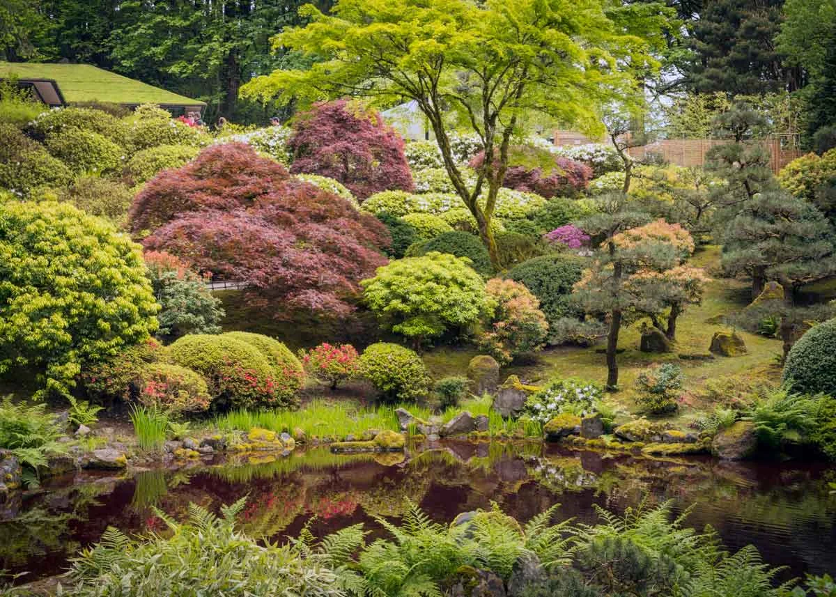 © Bruce Forster, Strolling Pond Garden