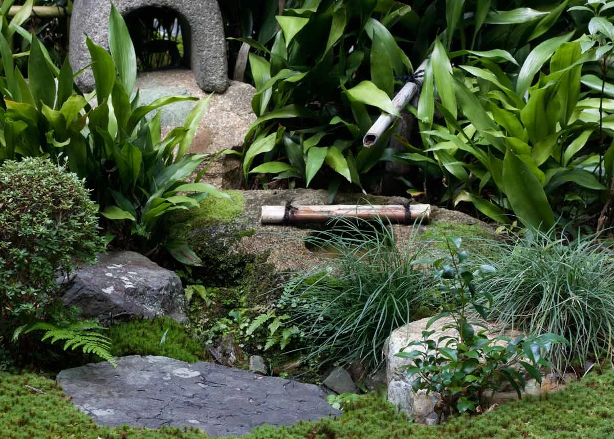 © Anika Ogusu, Real Japanese Gardens, Tsukubai