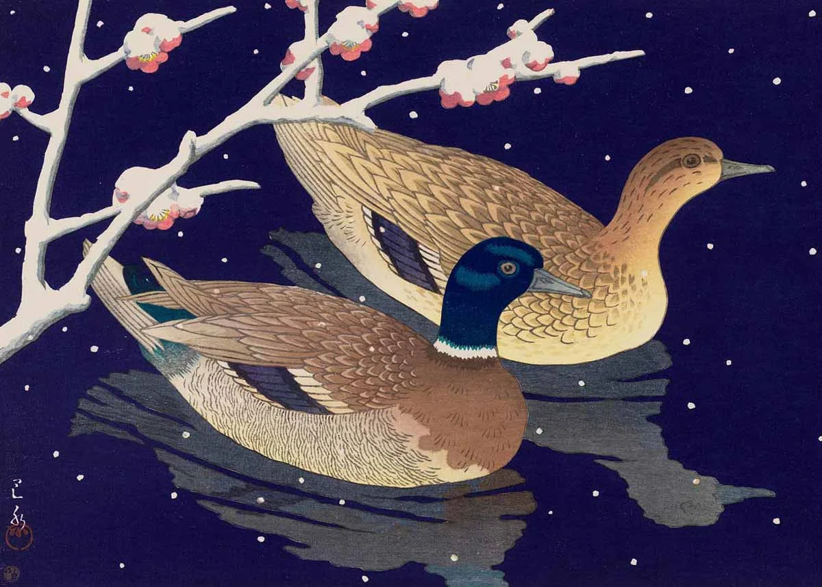 © Hasui Kawase, Mallard Ducks, 1950, Museum of Fine Arts, Boston