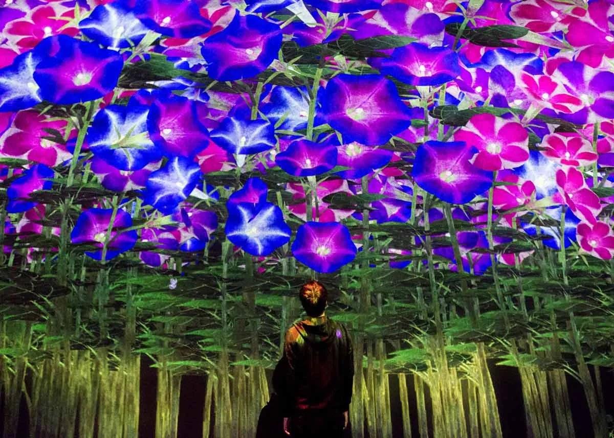 © teamLab, Exhibition view of MORI Building DIGITAL ART MUSEUM: teamLab Borderless, 2018, Odaiba, Tokyo: Spirits of the Flowers