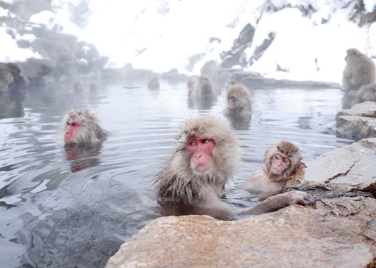 © Azkin / Creative Commons , Enjoying the Hot Springs