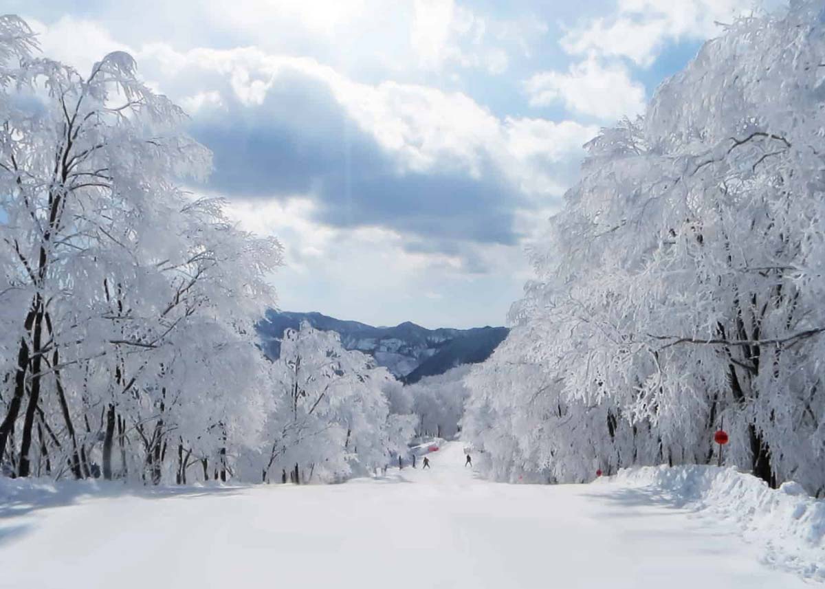 snow trip in japan
