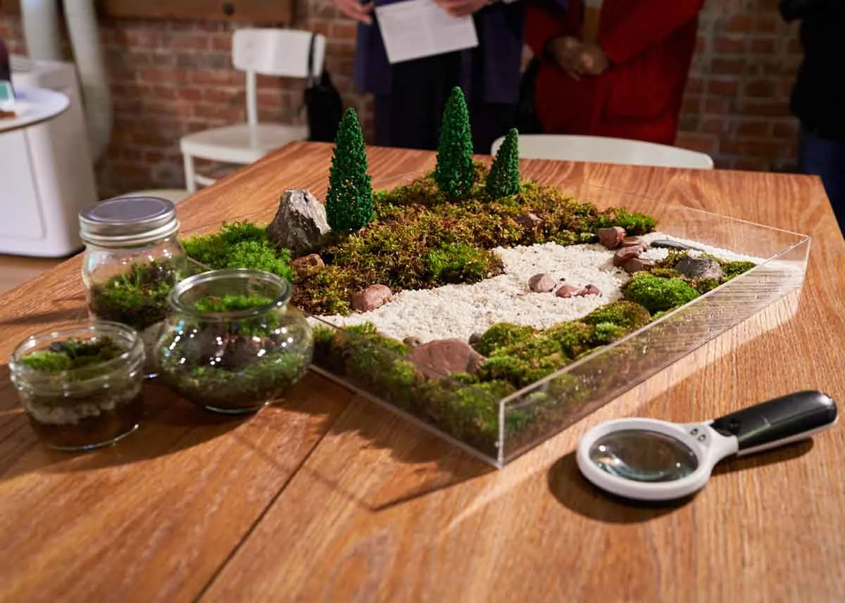 © Matt Vachon, Mini Garden Design