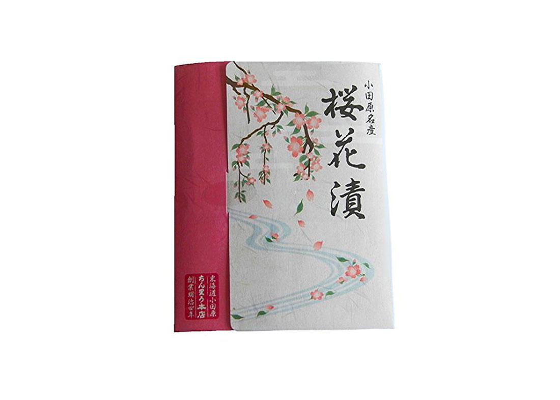 20 Gorgeous Japanese Cherry Blossom Designs To Buy Now