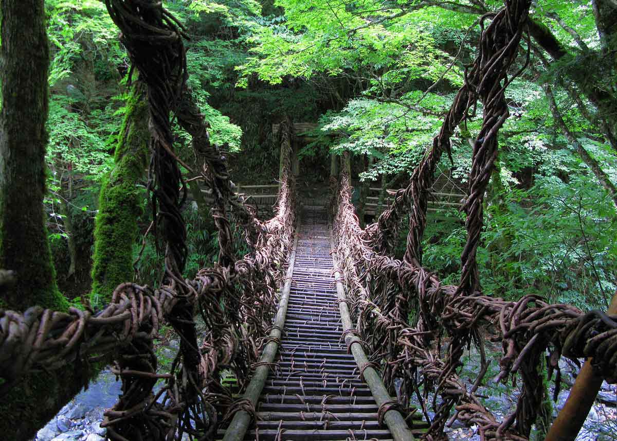© City of Miyoshi , Iya Valley