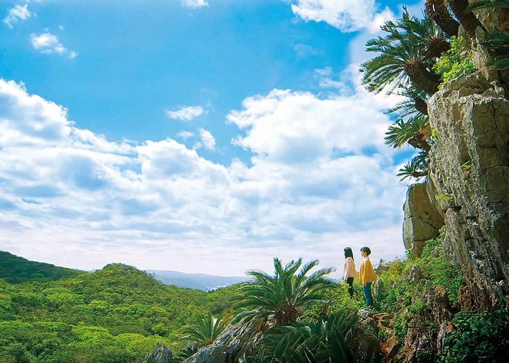 © Daisekirinzan , Yanbaru National Park