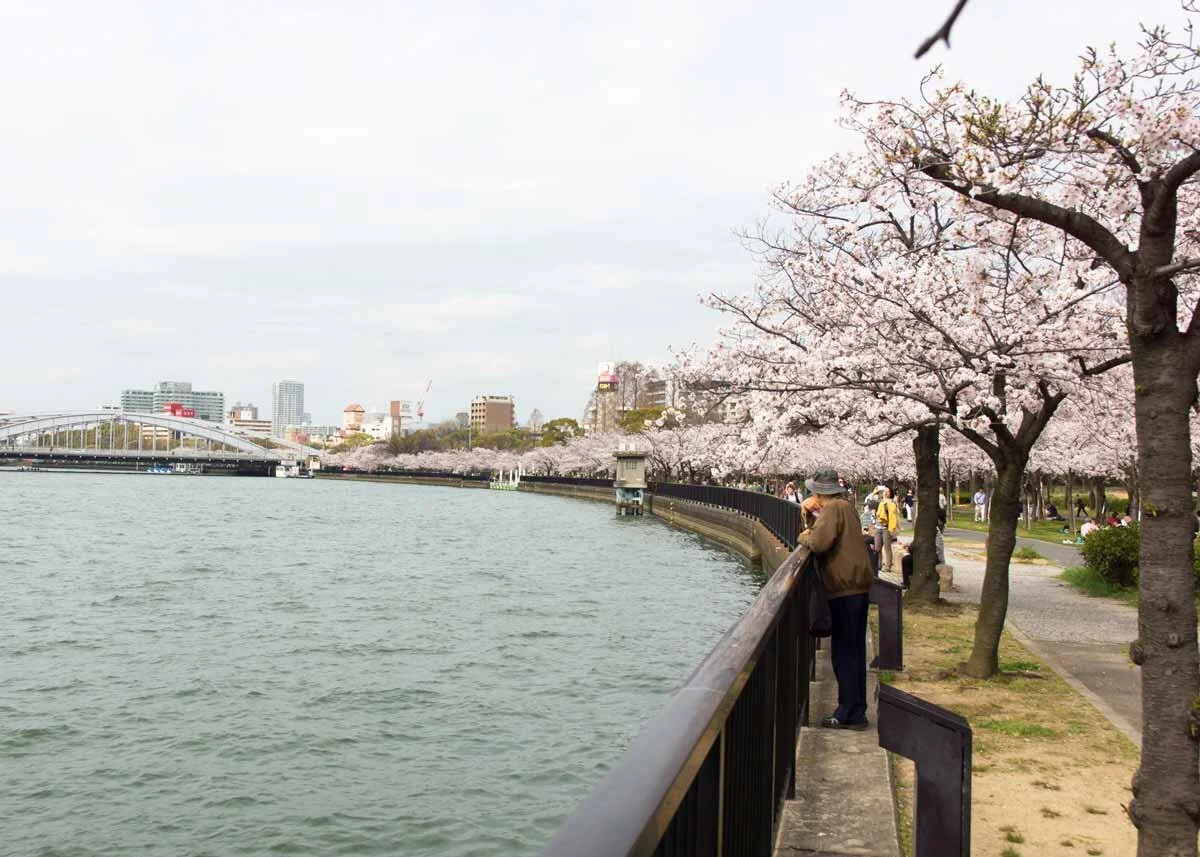 © lasta29 / Creative Commons , Kema Sakuranomiya Park