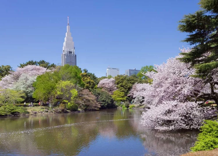 20 Best Japanese Gardens in Tokyo for Every Season