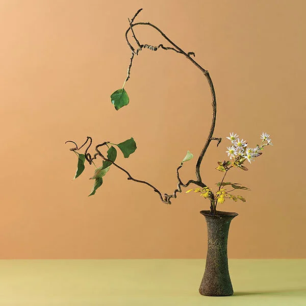 60 Irresistible Made in Japan Products to Buy Now