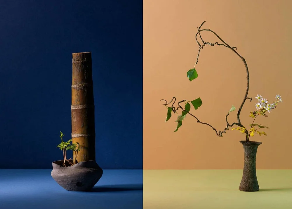©&nbsp;Tetsuya Miura, Ikebana by Nishiyama Hayato