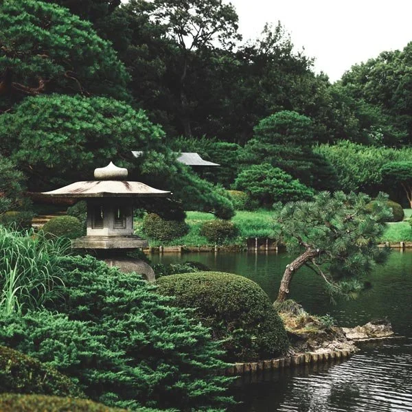 What Are Toro? Discovering Traditional Japanese Lanterns