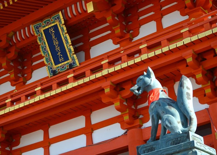 Wo kann man Kitsune in Japan sehen?