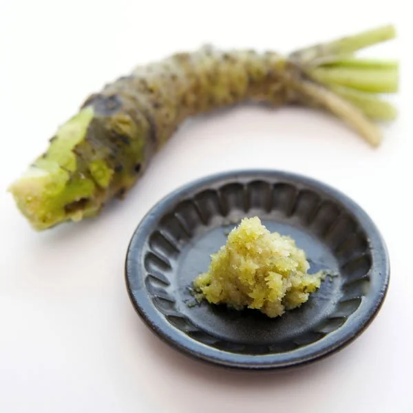 What is Wasabi? The Most Common Questions Answered