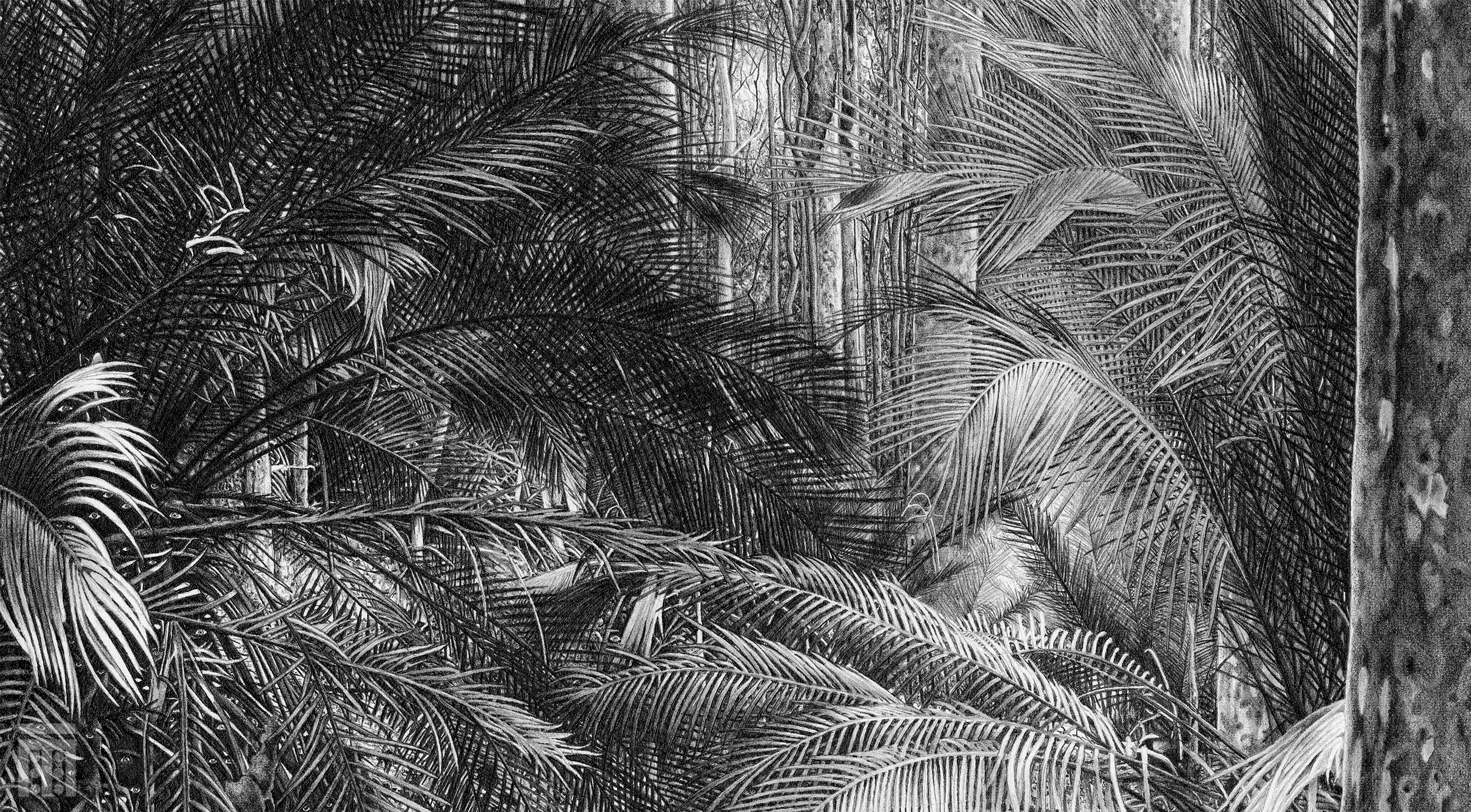 Pano Crop 1 WM 2500.jpg