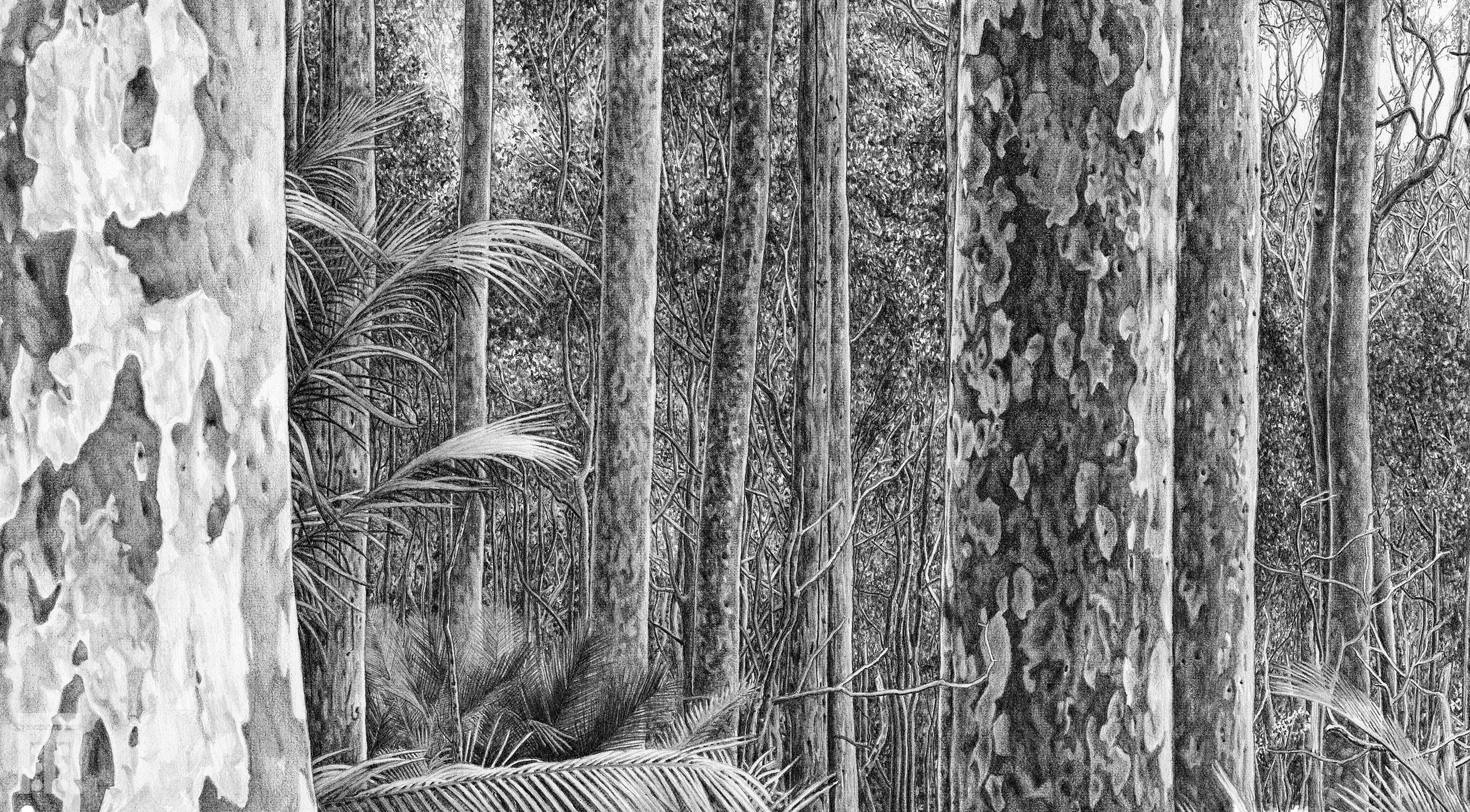 Pano Crop 2 WM 2500.jpg