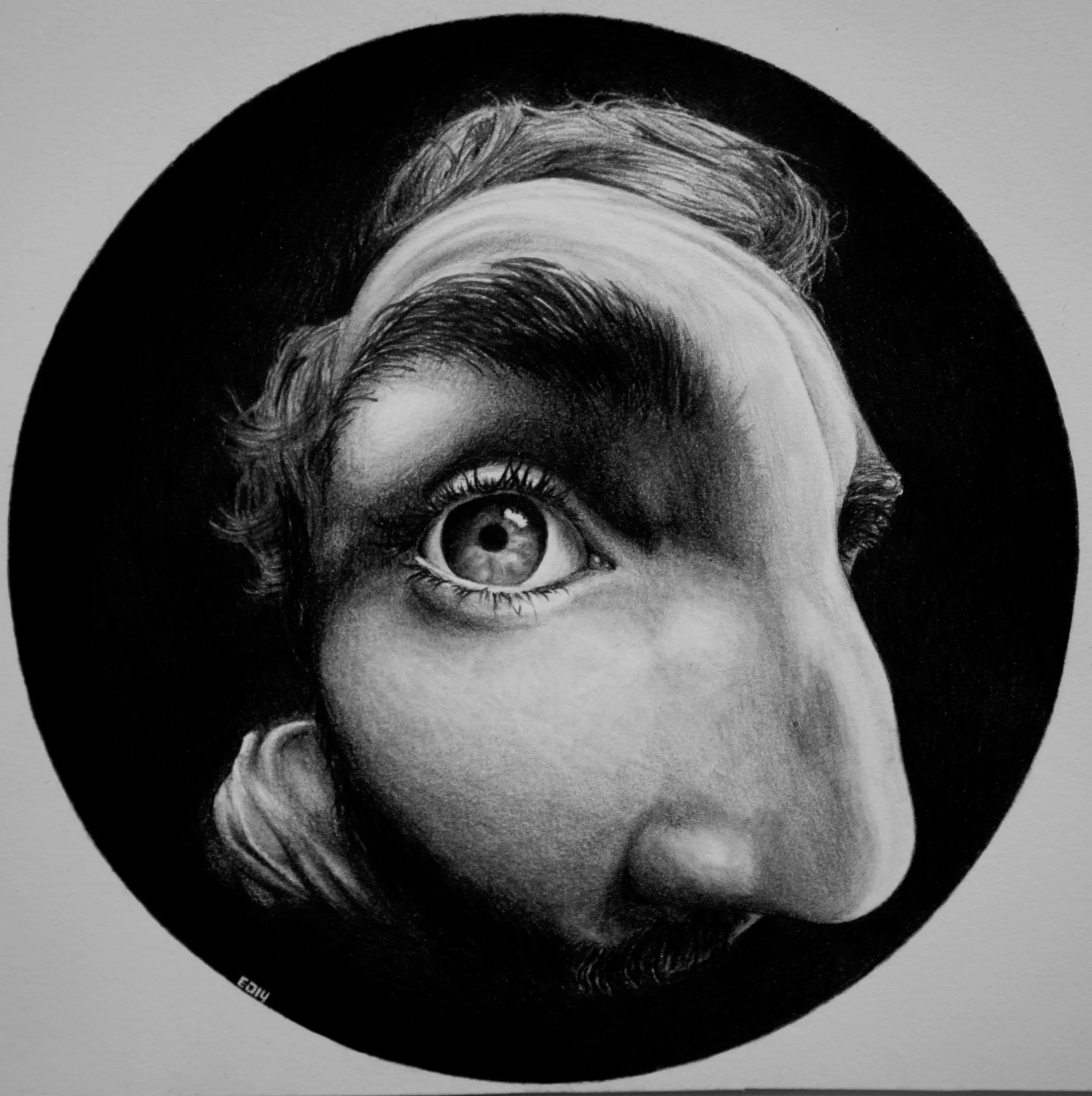 Convex Self 2014 2500.jpg