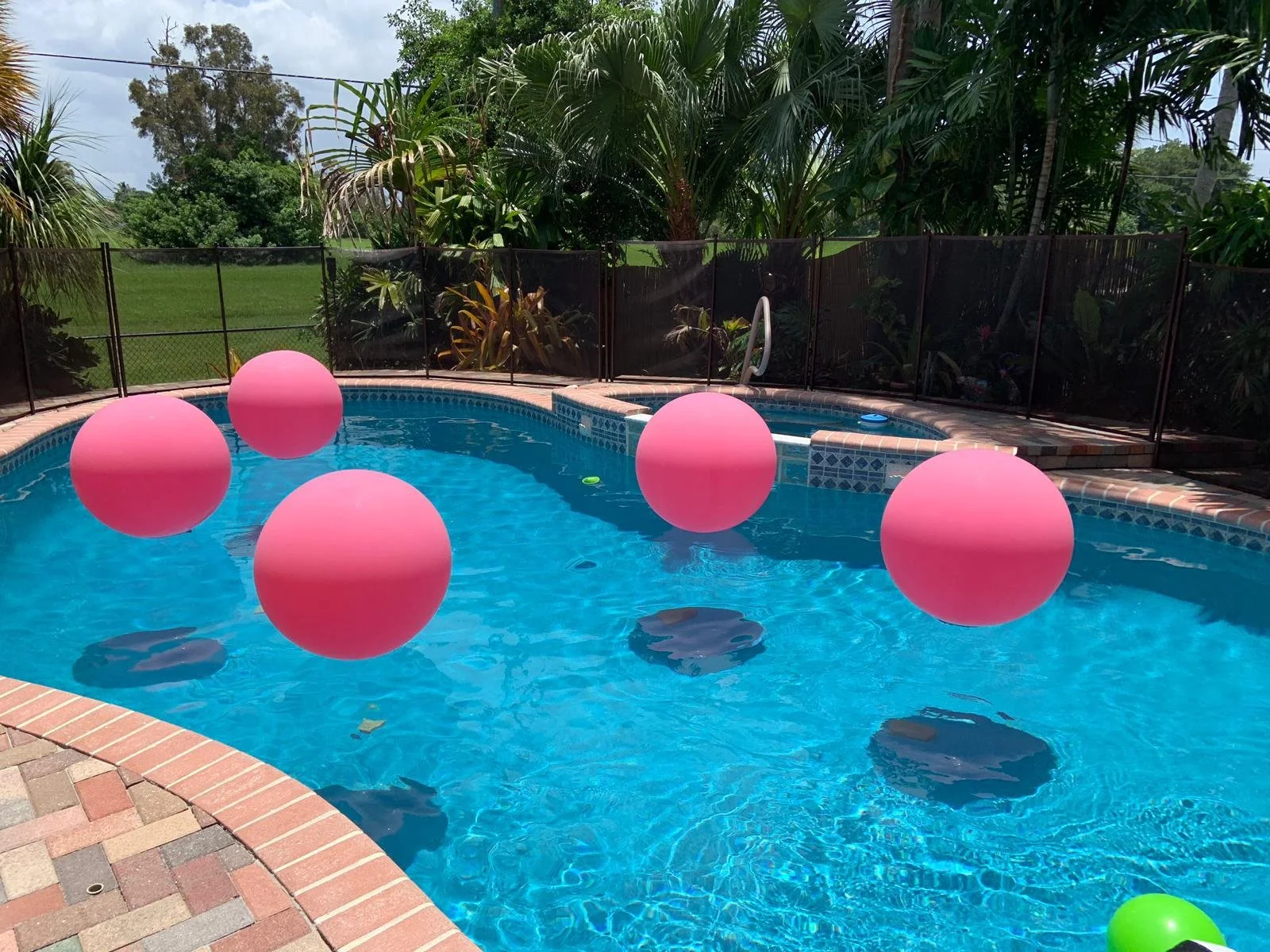 WhatsApp Image 2022-04-01 at 4.17.50 PM.jpeg