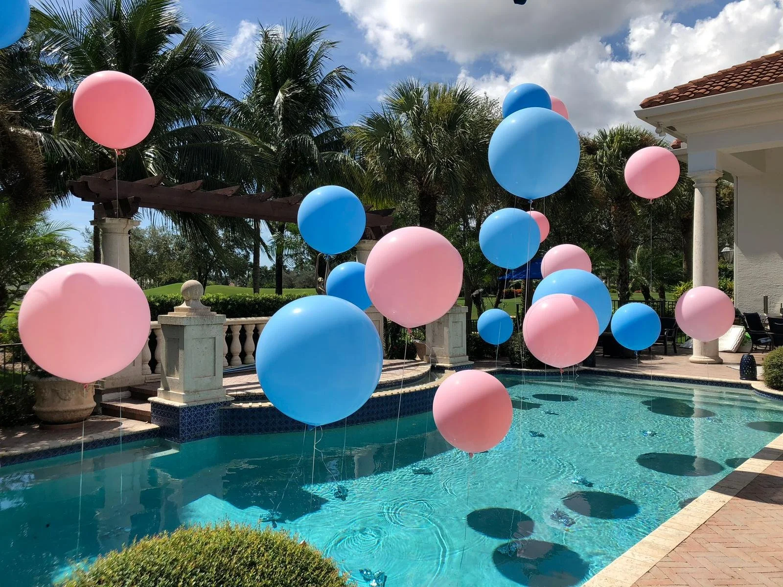 WhatsApp Image 2022-04-01 at 4.17.48 PM.jpeg