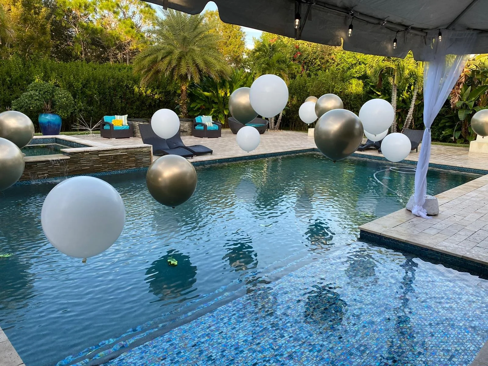 WhatsApp Image 2022-04-01 at 4.17.49 PM.jpeg