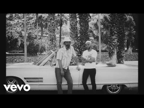 VAMPIRE WEEKEND - THIS LIFE