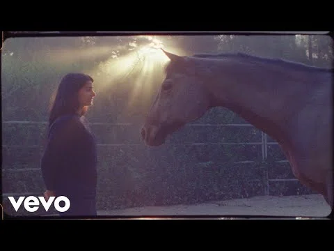 PETE YORN - CALM DOWN