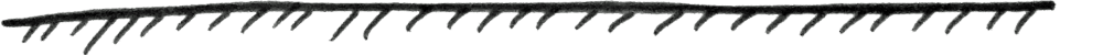 Lines.png
