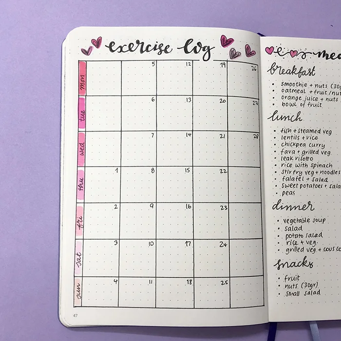 Plan With Me - Bullet Journal Set Up for February 2018