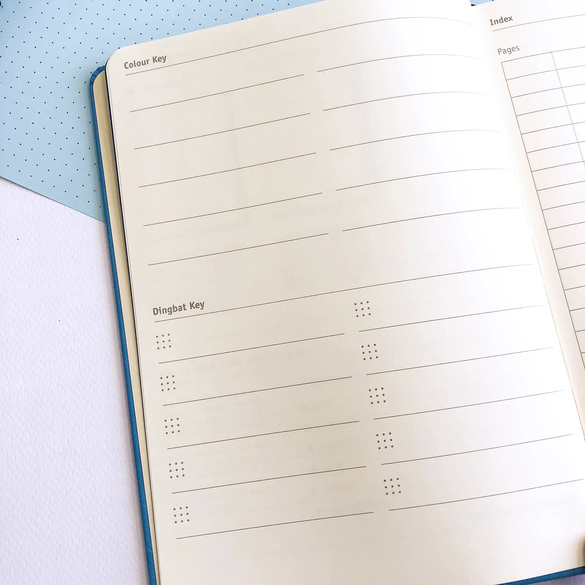 Dingbats Notebook Review