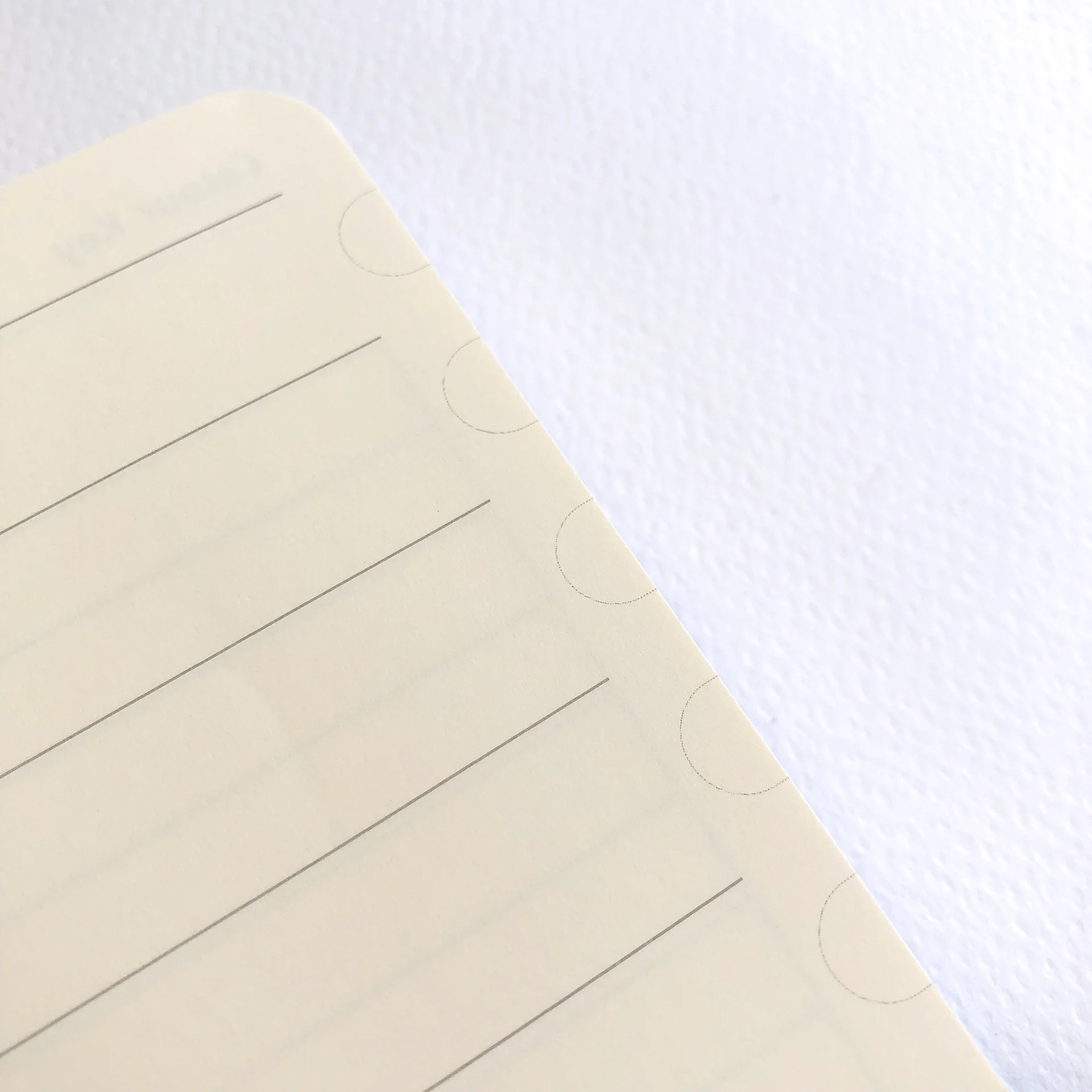 Dingbats Notebook Review