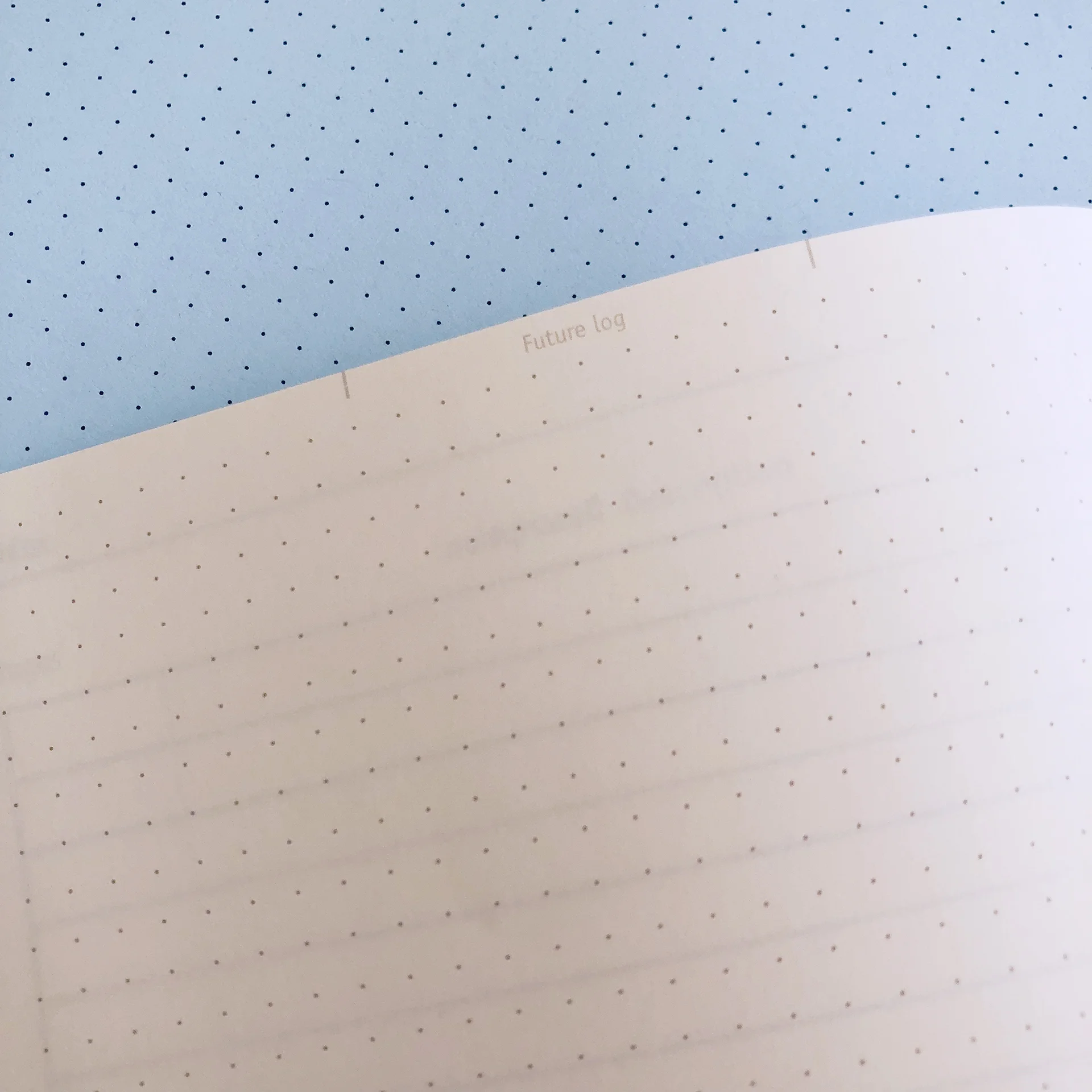 Dingbats Notebook Review