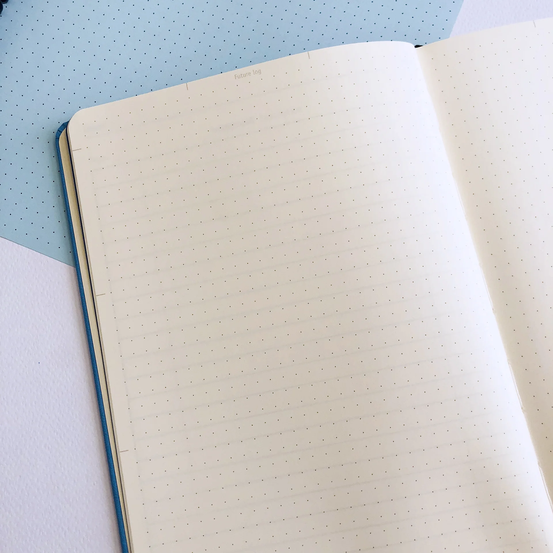 Dingbats Notebook Review