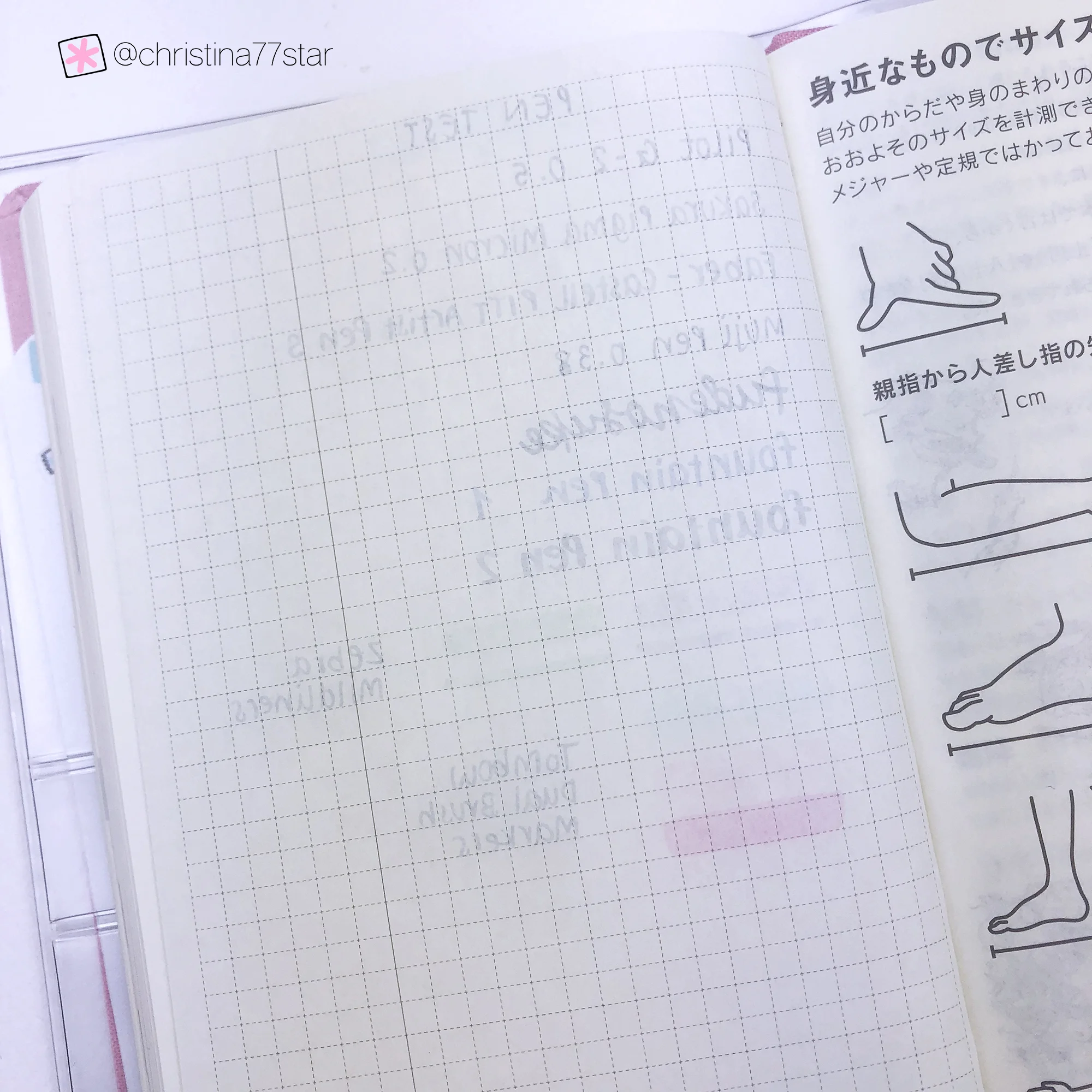 Hobonichi Techo Weeks 2019 Review - www.christina77star.net